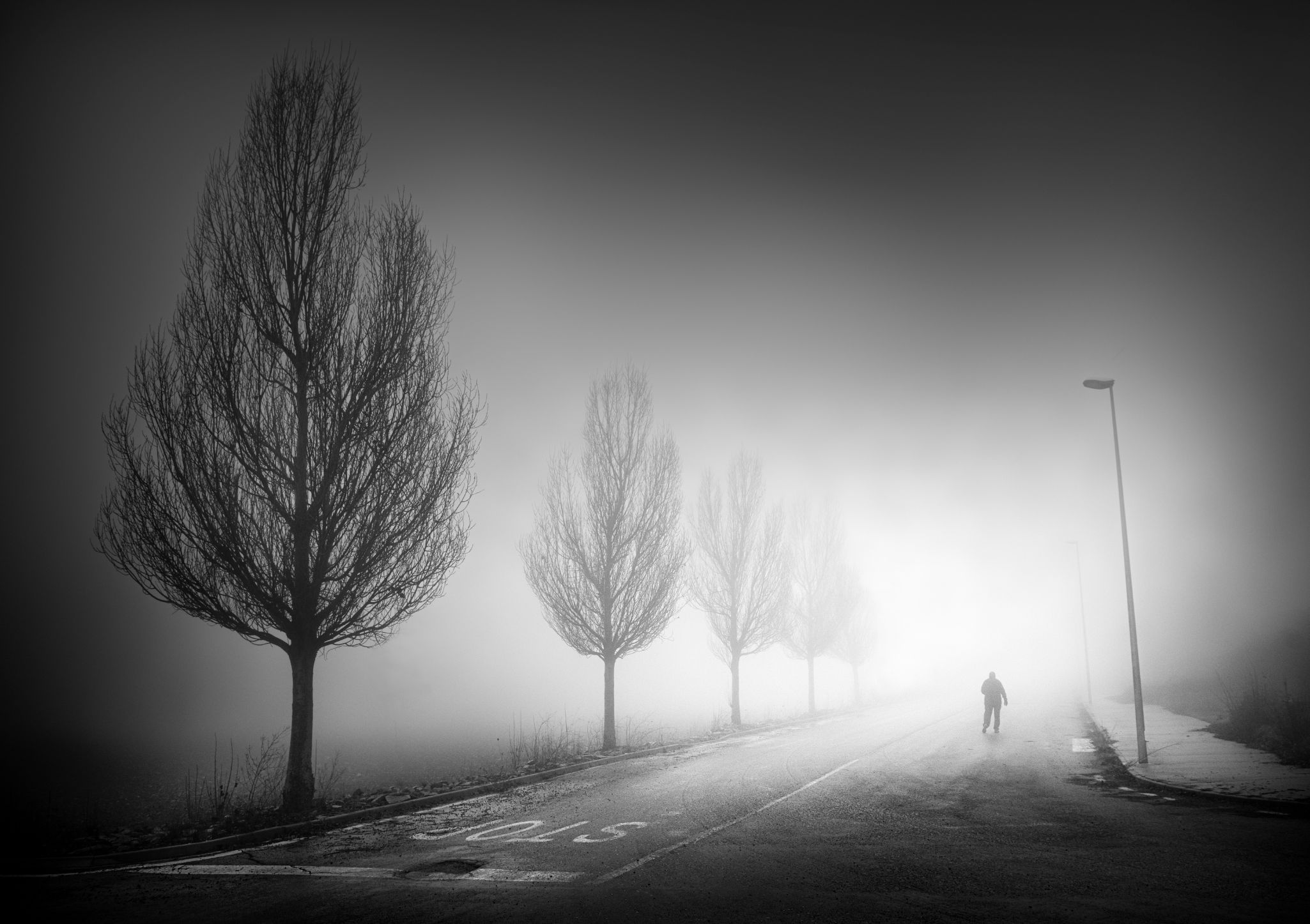 Entre neblinas 